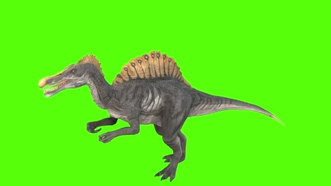 Animate Running Dinosaur Tyrannosaurus Rex 3d Stock Footage Video (100%  Royalty-free) 1012228994