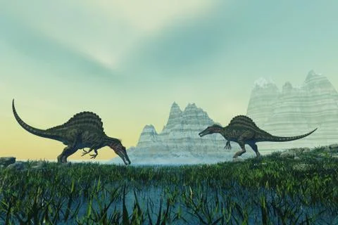 Spinosaurus Stock Illustration