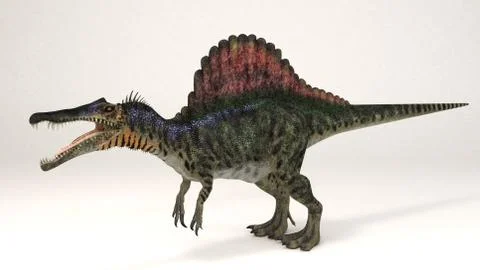 Spinosaurus Stock Illustration