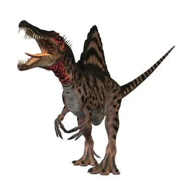 Spinosaurus profile Stock Illustration