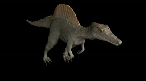 Spinosaurus Run 01  Video stock 855527