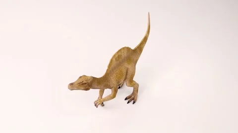 Spinosaurus Skeleton white background 4K Stock Footage 234509809