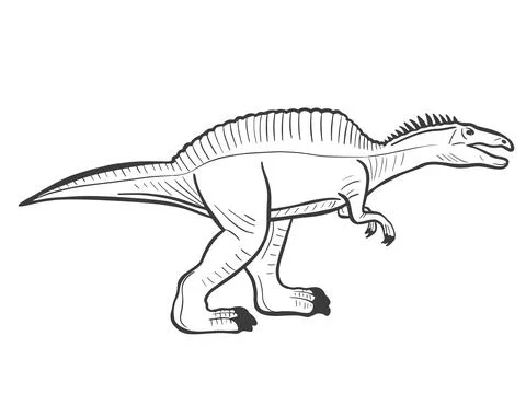 Spinosaurus sketch vector illustration. Иллюстрация