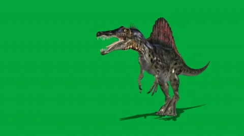 Spinosaurus Walking Forward Attack Video stock 32846649