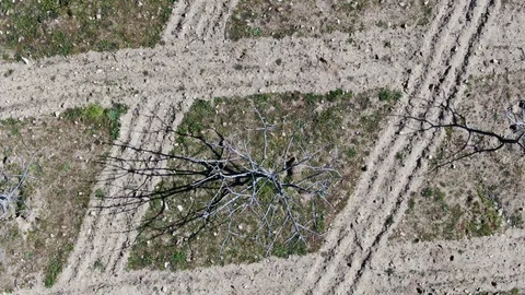 Spins the earth in the shape of diamonds Stock Footage 128976392