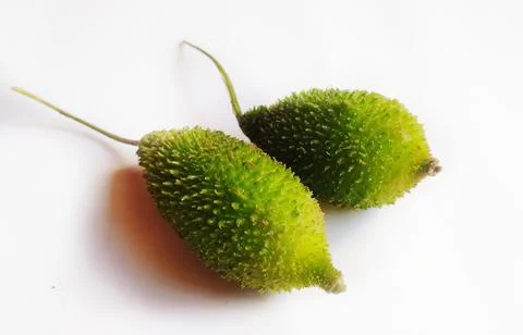 Spiny gourd Stock Photos