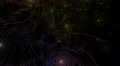 Spiral colorful fractal art galaxies seamless looping HD Footage