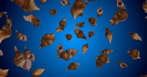 Spiral Conchs Falling slow motion animation Stock Footage 241639000