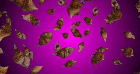 Spiral Conchs Falling slow motion animation Stock Footage 241660133