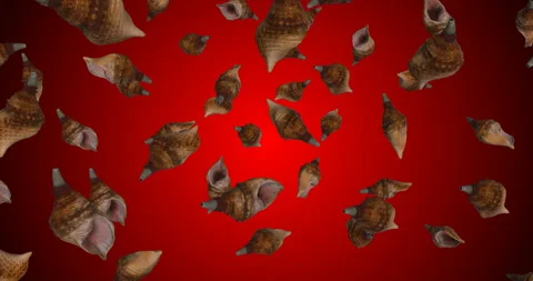 Spiral Conchs Falling slow motion animation Stock Footage 241660165