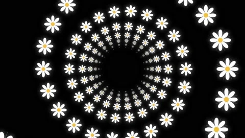  Spiral Daisy Flower Motion Endless Tunnel, Spring And Nature Background Video stock 184018112
