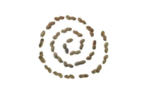 Spiral design peanuts 스톡 사진