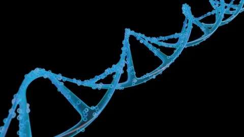 Spiral DNA with an alpha channel Stock Footage 83933197