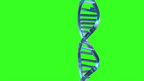 Spiral DNA with a double helical structure on green 3d render Stock Footage 314502550