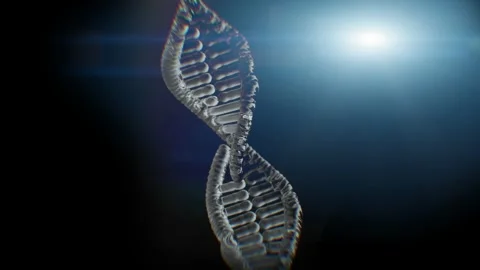 Spiral DNA with a double helical structure  loop 3d render Vídeos de archivo 314502551