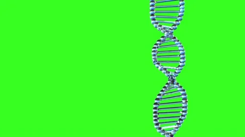 Spiral DNA with a double helical structure on green 3d render Stock Footage 314502554