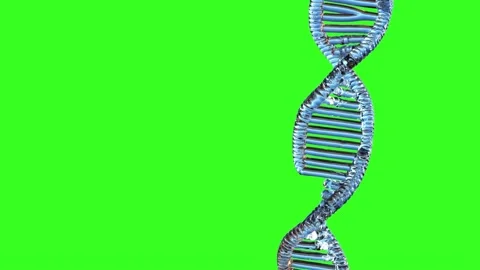 Spiral DNA with a double helical structure on green 3d render Stock Footage 314502561