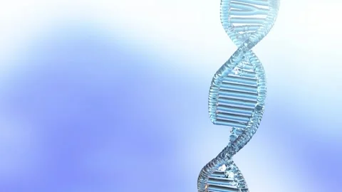 Spiral DNA with a double helical structure  loop 3d render Video stock 314502708