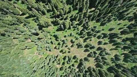 Spiral down to the ground Stock Footage 94099755