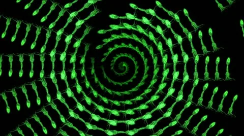 Spiral green clock octopus Stockbeeldmateriaal 22179164