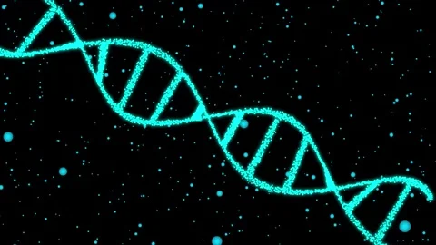 Spiral molecule of DNA animation Isolated on Black Background Stock Footage 321194097
