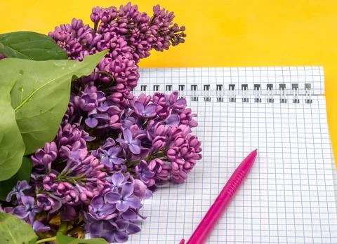 Spiral notebook and pen. Notepad with pen and flowers. Notebook lilacs on yel Stock Photos