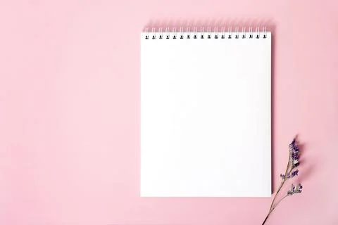 Spiral notepad with white blank sheets and dried flower sprig Stock Photos