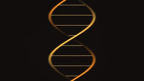 Spiral pattern of DNA and its structure in golden colors Stock Footage 338200502