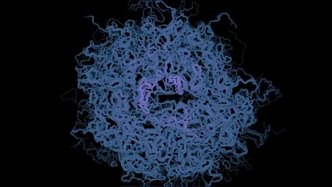 Spiral Perlin Noise Flow Field Generative Color Accent Black Background 4K 스톡 동영상 340386729