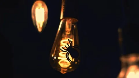 Spiral Retro light bulbs hanging on a dark background. Electricity, Vintage Stock Footage 253581953
