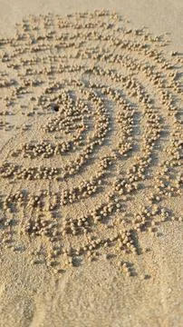 Spiral Sand Pellets Pattern on Beach Foto stock
