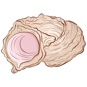 Spiral seashell color Stock Illustration
