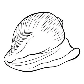 Spiral seashell side view line art Stock Illustration