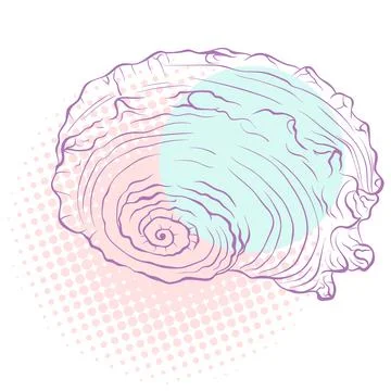 Spiral seashell on spotted background Stock Illustration