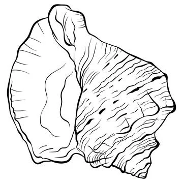 Spiral seashell top view line art Illustrazione stock