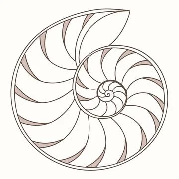Spiral Shell Geometry Minimalist Design Stock Illustration