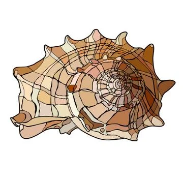 Spiral shell Stock Illustration