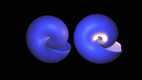 Spiral shell rotating 3d geometry . 3d animation render Video stock 165260091