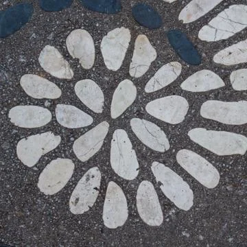 Spiral of Shells in Concrete Stock Photos