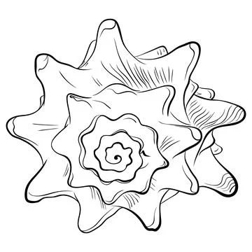 Spiral spiked seashell front view line art Stock Illustration