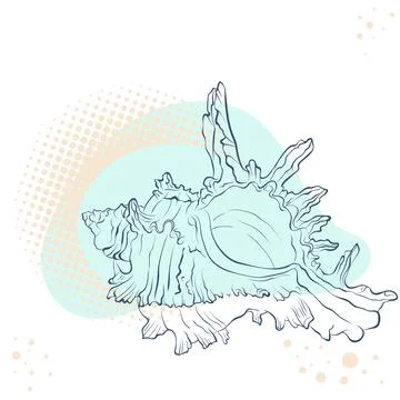 Spiral spiked seashell on spotted background Stock Illustration