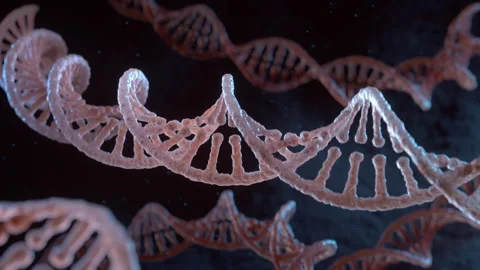 Spiral strands of DNA Vidéo 253819798