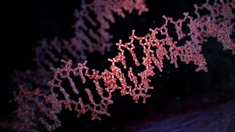 Spiral strands of human DNA Stock Footage 234403292