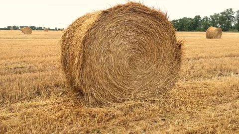 Spiral Texture of Round Haystack Close Up Stock Footage 340340706