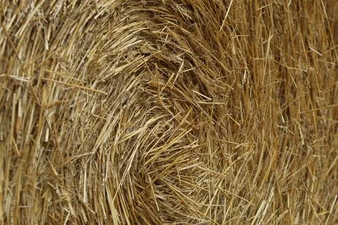 Spiral Texture of Round Straw Bale Macro Stock Photos