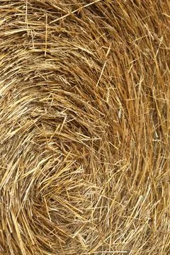 Spiral Texture of Round Straw Bale Macro 스톡 사진