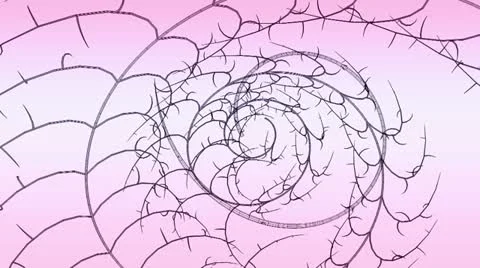 Spiral wires Stock Footage 18194528
