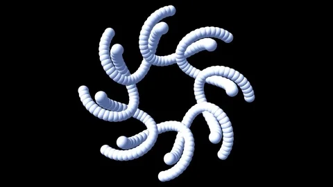 Spiral Worm Video stock 77494612