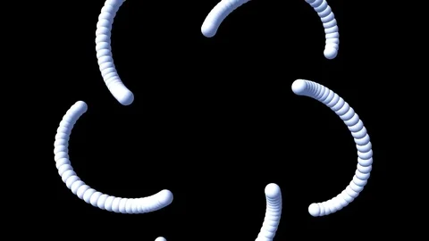 Spiral Worm Video stock 77495331