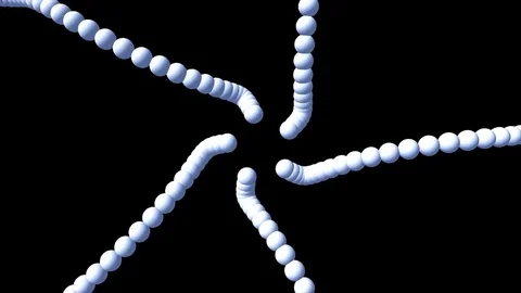 Spiral Worm Video stock 77497972